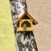 Cantine pour oiseaux sauvage, image de client, cantine avec petit oiseau de dans installé sur un arbre