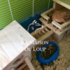Image de aire de jeu pour hamster avec un hamster dedans. Fabriqué par Maison du Loup