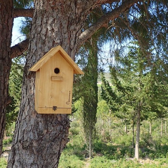 What you should know about birdhouses
