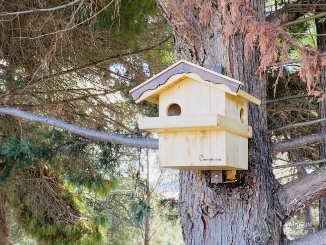 Image of the Solid wood squirrel nest box. Rustic. Made by Maison du Loup in France.