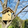 Vogelhaus für kleine Vogel aus Maserholz, Rustique