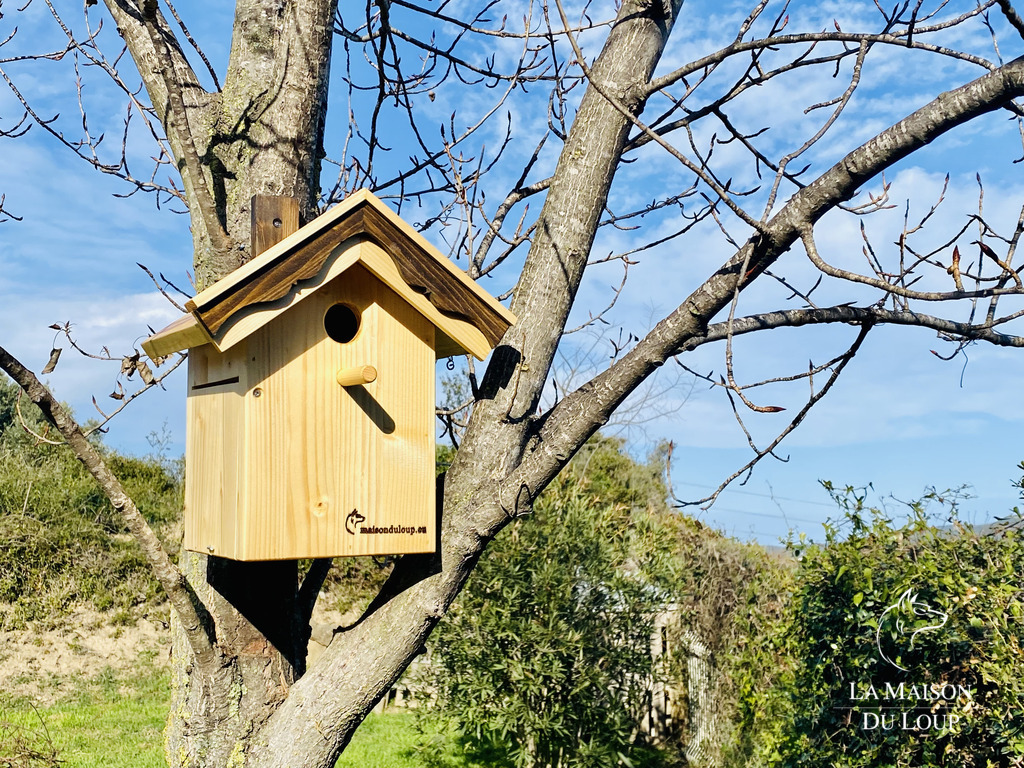 Vogelhaus für kleine Vogel aus Maserholz, Rustique
